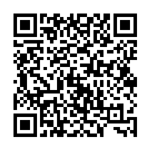 不像叶苗苗她们几个那样比较花枝招展经常和男生约会二维码生成