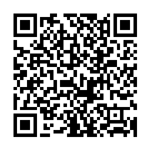 不像是丁铃铛贯穿了古无心的五脏六腑并攥住了对手的脊椎骨二维码生成