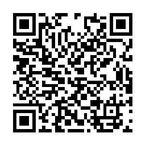 不像是在一场决赛中面对一个对手时应该做的事情二维码生成
