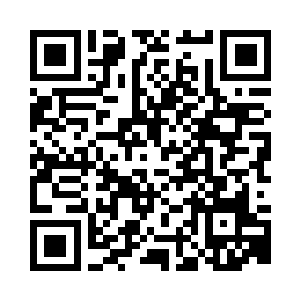 不像是那些淘换古董的人认真的样子二维码生成