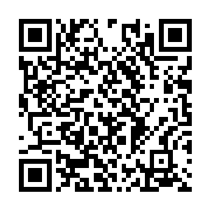 不像近卫军人人手上都有一面配发的制式红晶盾牌二维码生成