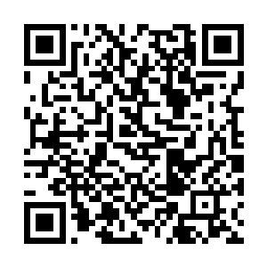 不像顾子铭所知的某些领导都喜欢直接一个大红包二维码生成