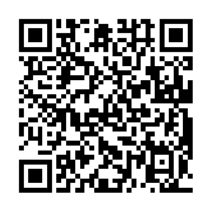 不像龙虎山掌教之上还有岁数破白不理尘事的闭关真人二维码生成