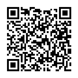 不允许出现族内强者恃强凌弱对人族年轻天骄出手二维码生成