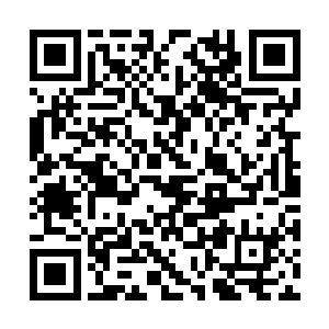 不允许营销大号和营销公司附着在智为微博上吸血二维码生成