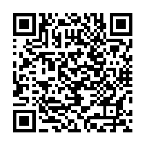 不光是两个大人囡囡和皮皮两个小东西的身体也是银色的二维码生成