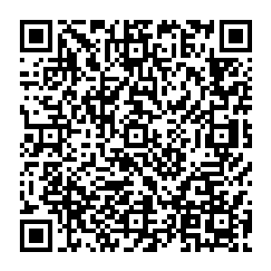 不光是两家客人连约瑟夫和所有渡假村的员工现的都出来了傻愣愣的望着眼前这不可思议的一幕二维码生成