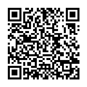 不光是乔伊星号站在驾驶舱里的人没有一个不眼馋的二维码生成
