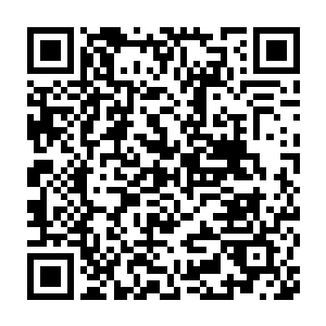 不光是起来了而且还蹲在院子里每人的手中拿着一枝挂着叶子的树枝二维码生成