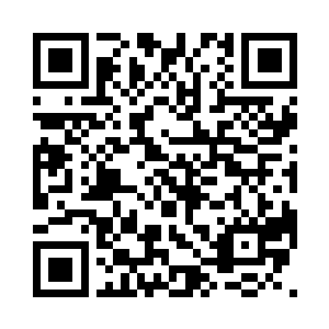 不光有和晚礼服相衬的鞋子首饰之类的二维码生成