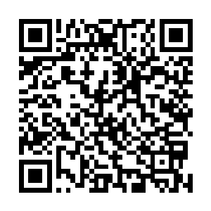 不入局不入战才是最为稳妥的做法……有树堡之坚为依凭二维码生成