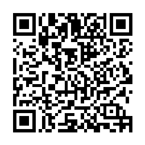 不全是为了一块面包就愿意不分是非黑白去给人卖命的人二维码生成