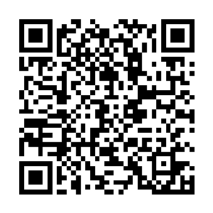 不再去想赫拉勒克斯等人为什么能够视黑莲大阵为无物二维码生成