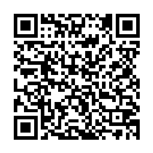 不再受刚才那股压力压制得仅仅只是茅山别院的弟子二维码生成