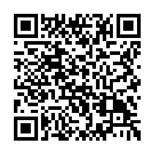 不再和她姐姐以及妮可一起整天缠着洪涛占便宜二维码生成