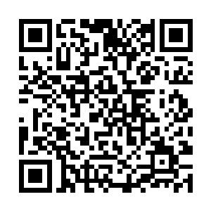 不再是浑身冰冷・・・・・・这些都令苏嫣开心不已二维码生成