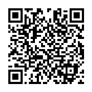 不再是那个任性妄为喜欢一袭雪白长裙飘飘的高贵公主二维码生成