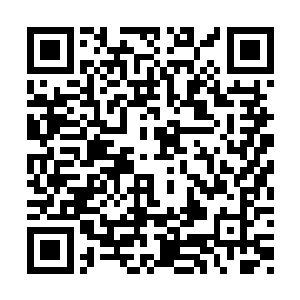 不准任何人进入这个房间……也尽力阻止颜小姐二维码生成