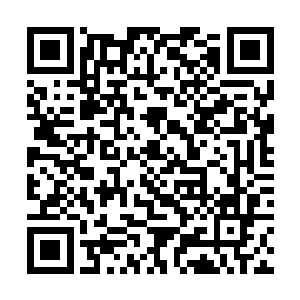 不准参与电焊作业的肇事者向公安机关提供真实证言二维码生成