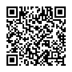 不出一年我就能帮你收编一只属于你的家将大军二维码生成