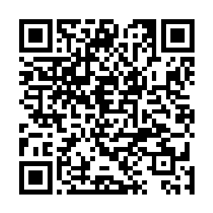 不出意外的……技能栏里所有的技能图标全都变成了灰色二维码生成