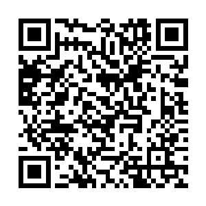 不出意外的话这个地方的确应该存在着一条大型矿脉二维码生成