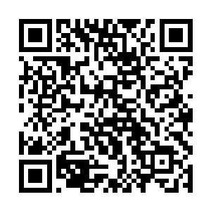 不到二十岁的年轻就可以轻松的斩杀地级中期的高手二维码生成