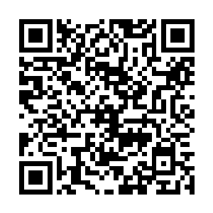 不到二十年就发展成香江市珠宝首饰界的龙头老大二维码生成