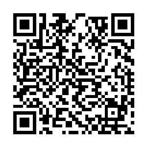 不卑不亢的让人感觉就好像是身份地位可以和景仲二维码生成