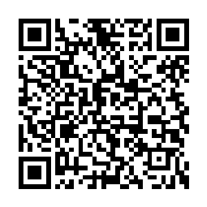 不单单是因为时隔多年再次听到了张若惜的声音二维码生成
