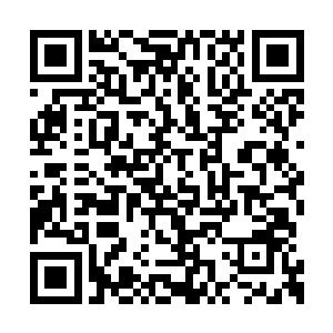 不单单是来自那恐怖战场中四处弥漫的领域威能二维码生成