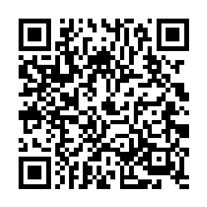 不去当圣人只在城里当个私塾先生真是天大的屈才了二维码生成