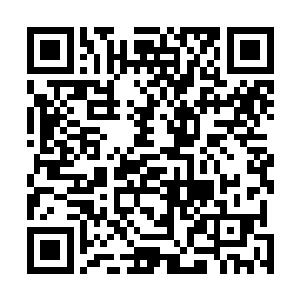 不去的话意味着自己错失了一次了解这个任务剧情的机会二维码生成