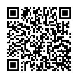 不参与任何势力角逐为口号・拒绝我们大罗天的招揽二维码生成