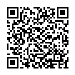 不发一言……杨辰可不会认为林若溪浑然不在乎二维码生成