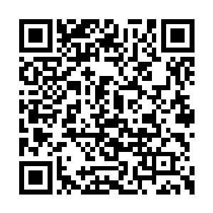 不只是能够抵御在葬仙谷里遇到的危险的祖器吧二维码生成