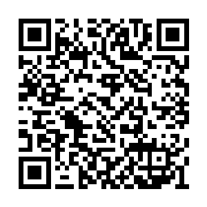 不可能……不可能……你怎么可能学会天魔力场二维码生成