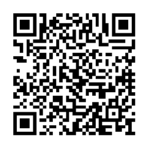 不可能一颗丹药下去就催生出来一个圣级大修士二维码生成