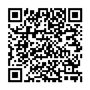 不可能放弃他原本的目的就为了一个小小的婢女二维码生成