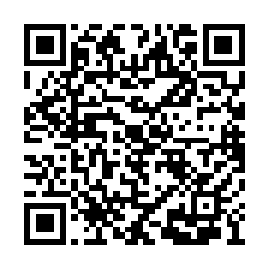 不可能是只让他帮忙查找伍公子的下落这么简单二维码生成