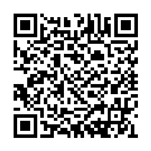 不可能看得上出身于一个乡村教师家庭的卢向东二维码生成