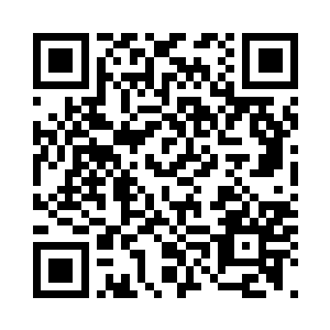 不可能真的给你拿那么多时间来测试二维码生成