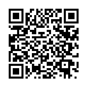 不可能还会有和青龙一样强大的龙族二维码生成