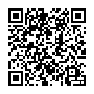 不同于上次在船上想冷战一段时间时故意摆出来的姿态二维码生成