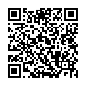 不同于金琉璃也夜浩然那样急于保护南南不受到伤害二维码生成