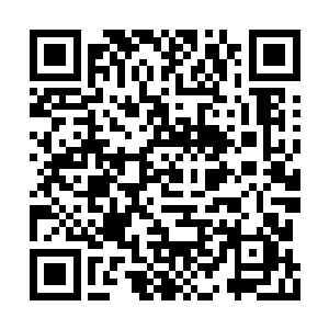 不同势力与不同势力之间的战斗同样是家常便饭二维码生成