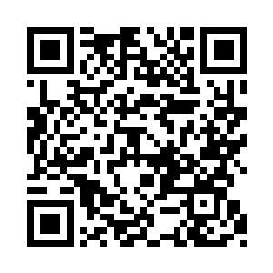 不同型号的能源管从小到大依次排列在橱窗里二维码生成