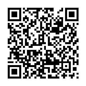 不回关中汇聚的先天域主到底有多少就难以统计了二维码生成