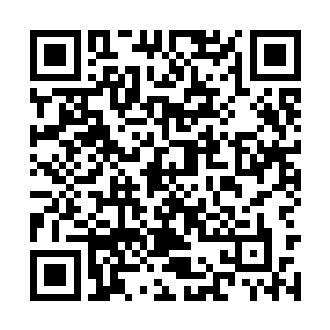 不回南宣府就算借助黑炭的脚力逃回东来洞也没用二维码生成