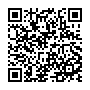 不多会儿的功夫就彻底消失无踪了……直到这时候二维码生成